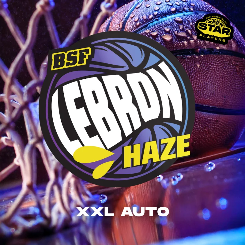 Sementes de Cannabis Automáticas Lebron Haze XXL Auto | BSF Seeds Brasil | Compre Agora