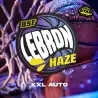 Lebron Haze XXL Auto|BSF Seeds Brasil