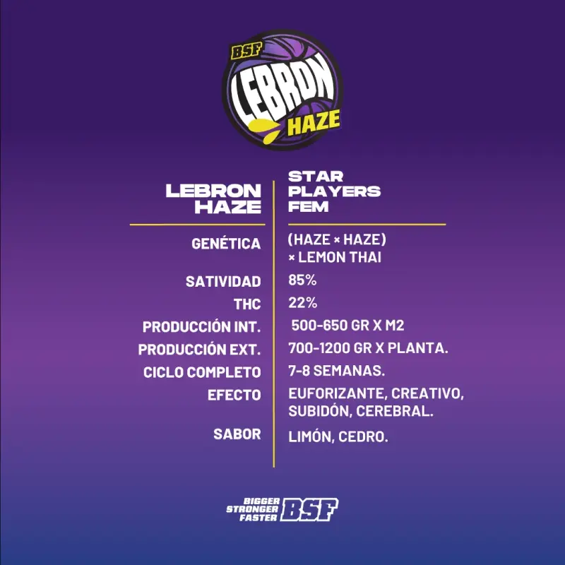 Lebron Haze|BSF Seeds Brasil
