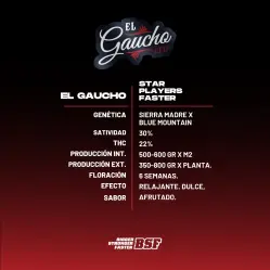 El Gaucho|BSF Seeds Brasil