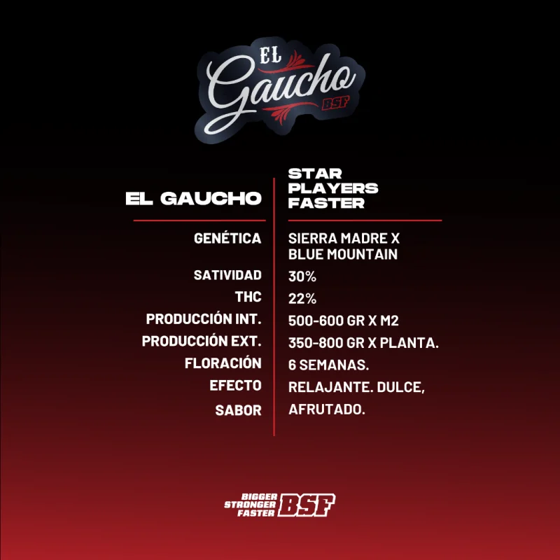 Sementes de Maconha Faster El Gaucho| BSF Seeds Brasil