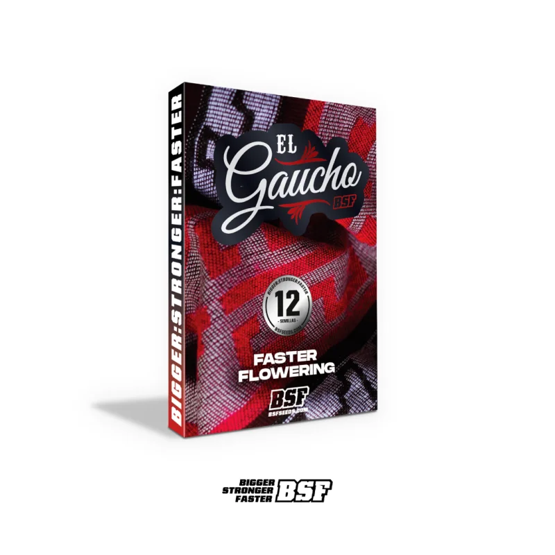 Sementes de Maconha Faster El Gaucho| BSF Seeds Brasil