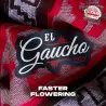El Gaucho|BSF Seeds Brasil