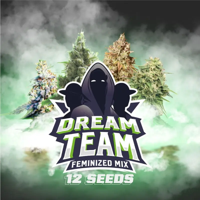 Dream Team Feminized Mix: las mejores genÈticas feminizadas|BSF Seeds Brasil