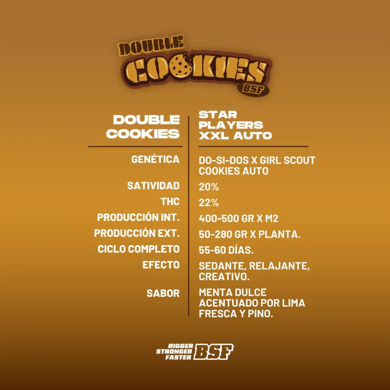 Sementes de Cannabis Automáticas Double Cookies Auto | BSF Seeds Brasil | Compre Agora