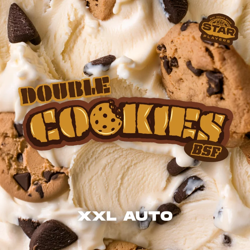 Sementes de Cannabis Automáticas Double Cookies Auto | BSF Seeds Brasil | Compre Agora