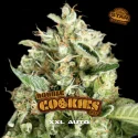 Sementes de Cannabis Automáticas Double Cookies Auto | BSF Seeds Brasil | Compre Agora