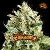 Double Cookies Auto|BSF Seeds Brasil