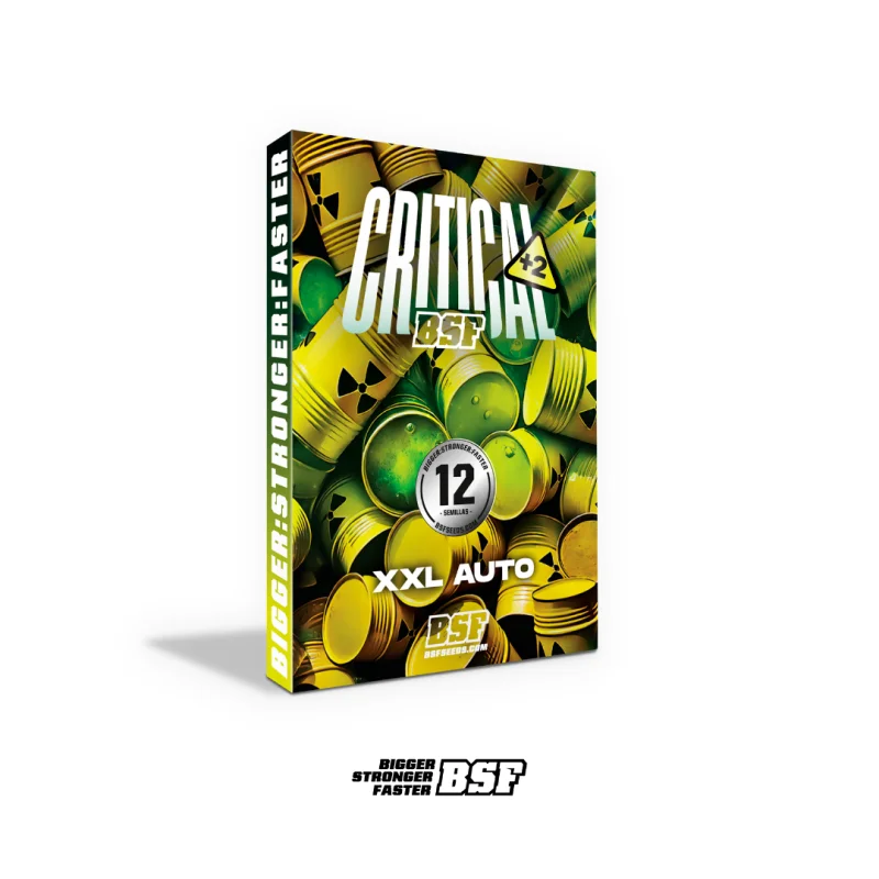 Sementes de Cannabis Automáticas Critical +2 XXL Auto | BSF Seeds Brasil | Compre Agora