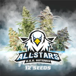 Sementes de Cannabis Mixes All Stars USA Automix | BSF Seeds Brasil | Compre Agora
