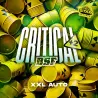 Critical +2 XXL Auto|BSF Seeds Brasil