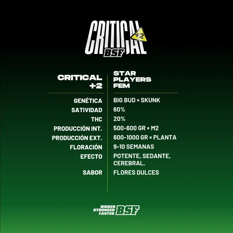Critical +2|BSF Seeds Brasil