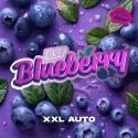 Sementes de Cannabis Automáticas Blueberry XXL Auto | BSF Seeds Brasil | Compre Agora