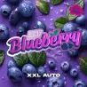 Blueberry XXL Auto|BSF Seeds Brasil