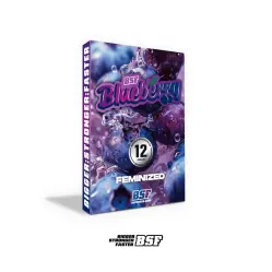 Blueberry Fem|BSF Seeds Brasil