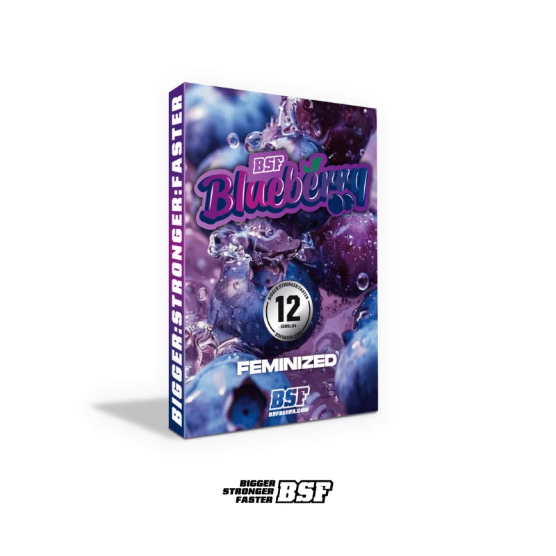 Sementes de Maconha Feminizadas Blueberry Fem | BSF Seeds Brasil