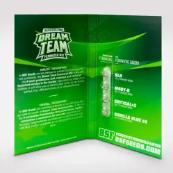 Dream Team Feminized Mix: las mejores genÈticas feminizadas|BSF Seeds Brasil