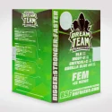 Sementes de Cannabis Mixes Dream Team Feminized Mix: las mejores genÈticas feminizadas | BSF Seeds Brasil | Compre Agora