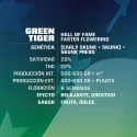 Sementes de Maconha Faster Green Tiger| BSF Seeds Brasil