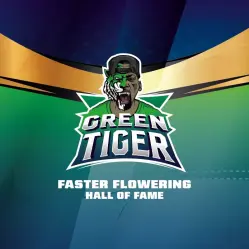 Green Tiger|BSF Seeds Brasil