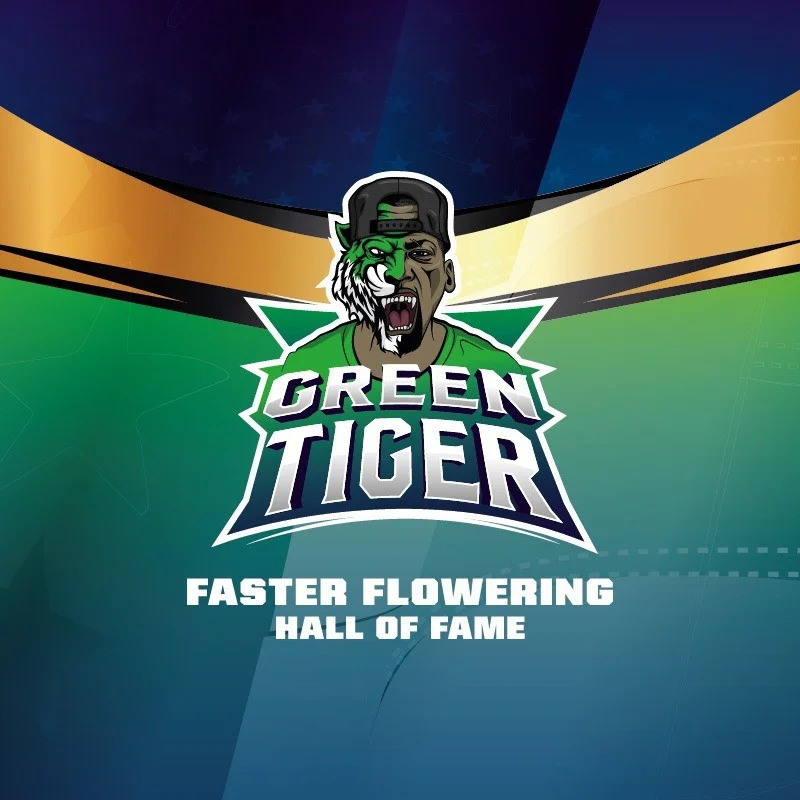 Sementes de Maconha Faster Green Tiger| BSF Seeds Brasil