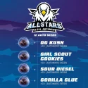 Sementes de Cannabis Mixes All Stars USA Automix | BSF Seeds Brasil | Compre Agora