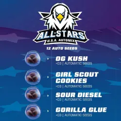 All Stars USA Automix|BSF Seeds Brasil
