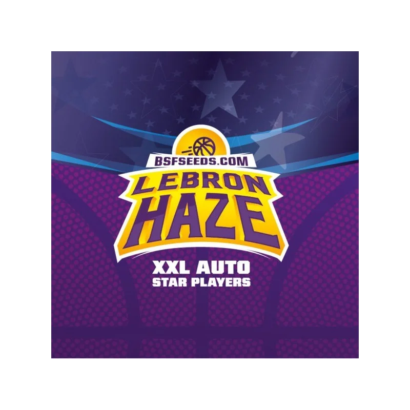 Sementes de Cannabis Automáticas Lebron Haze XXL Auto | BSF Seeds Brasil | Compre Agora