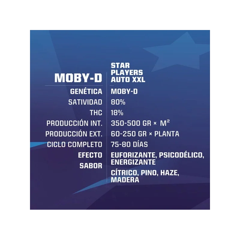 Sementes de Cannabis Automáticas Moby D XXL Auto | BSF Seeds Brasil | Compre Agora