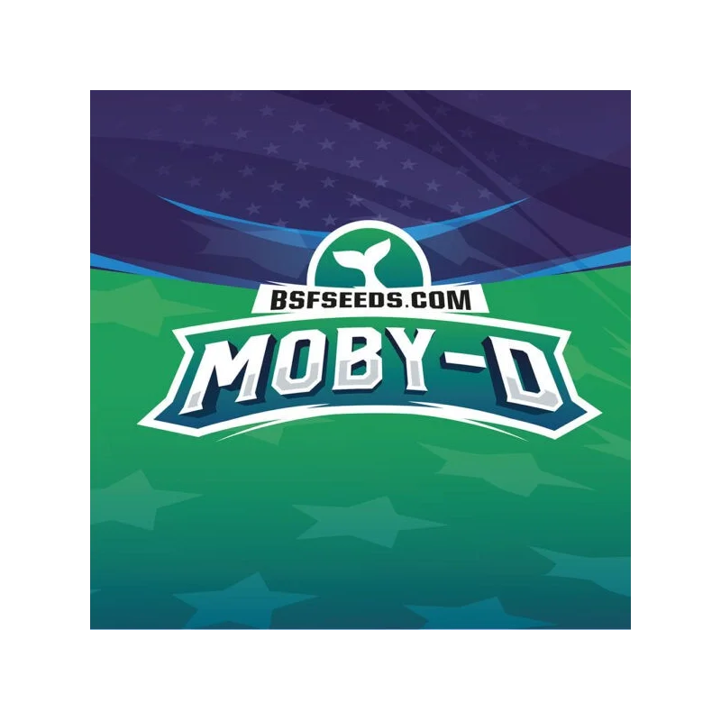 Sementes de Cannabis Automáticas Moby D XXL Auto | BSF Seeds Brasil | Compre Agora
