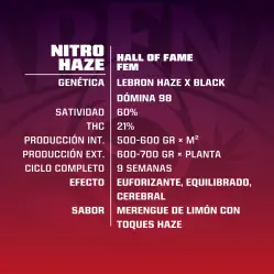 Nitro Haze|BSF Seeds Brasil