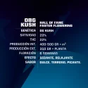 Sementes de Maconha Faster OBG Kush| BSF Seeds Brasil
