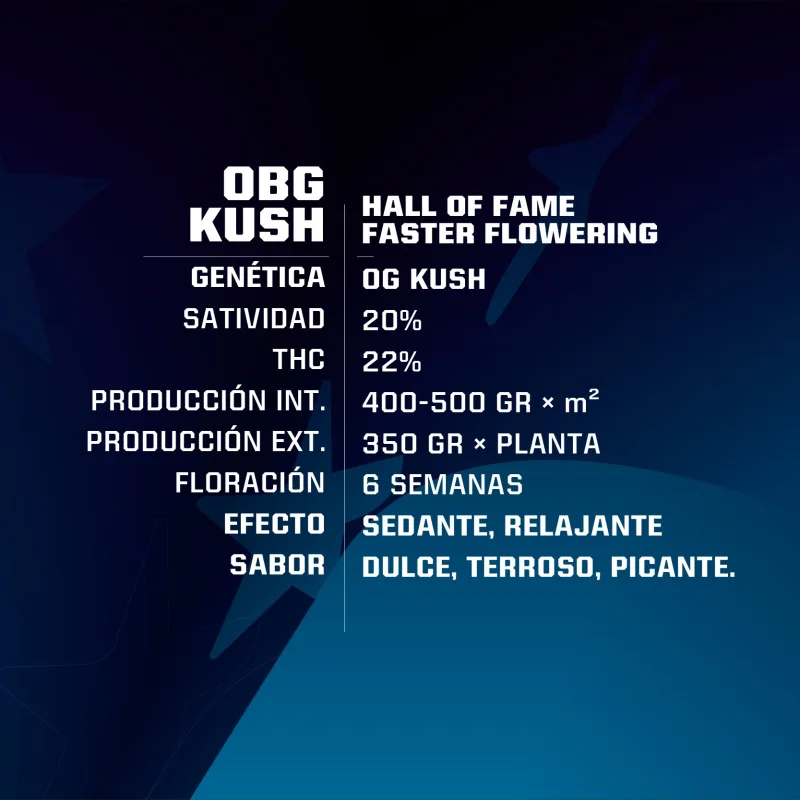 Sementes de Maconha Faster OBG Kush| BSF Seeds Brasil