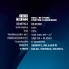 OBG Kush|BSF Seeds Brasil