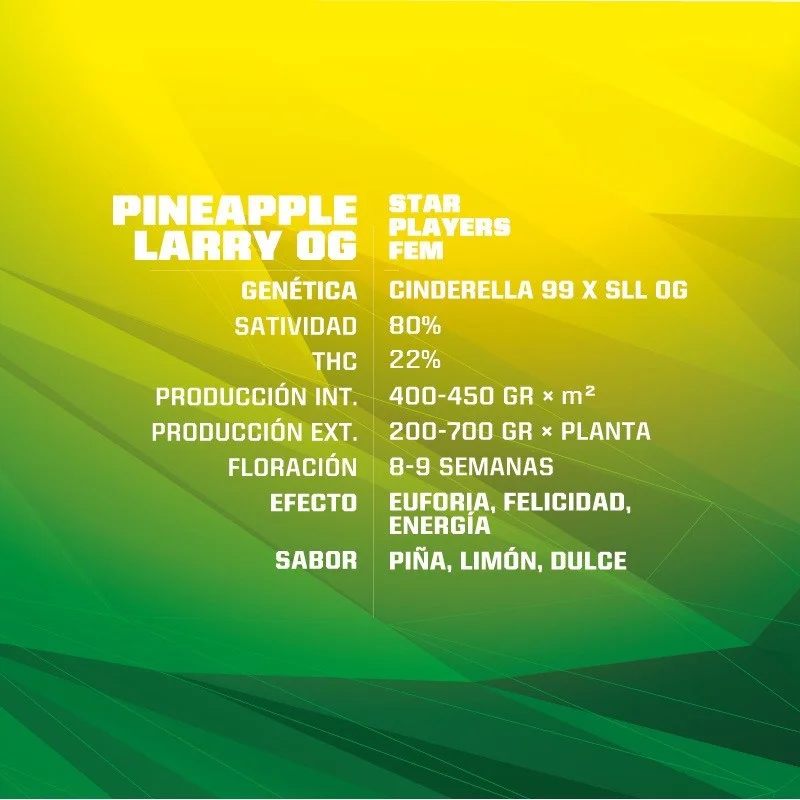 Sementes de Maconha Feminizadas Pineapple Larry OG Fem | BSF Seeds Brasil