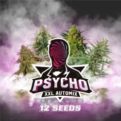 Sementes de Cannabis Mixes Psycho XXL Automix | BSF Seeds Brasil | Compre Agora