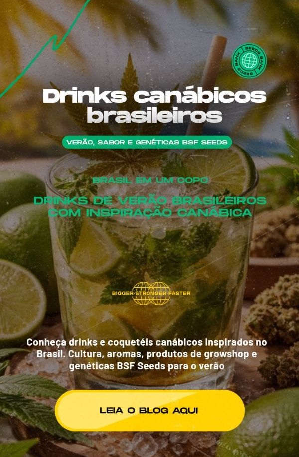 Lavagem de Raízes no Cannabis