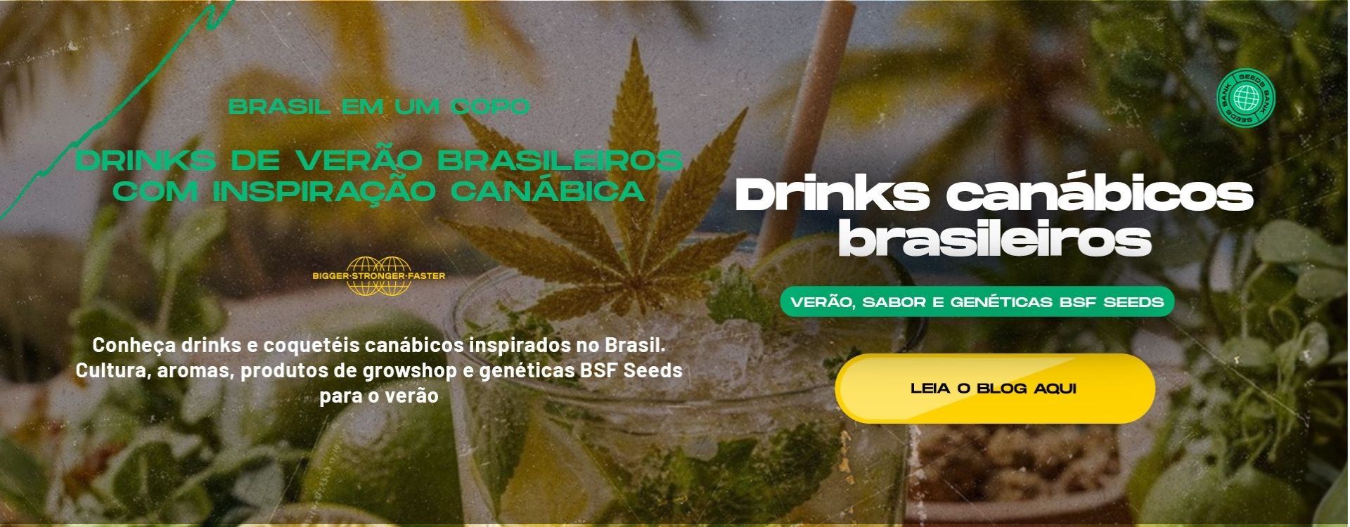 Gorilla Kingdom | BSF Seeds