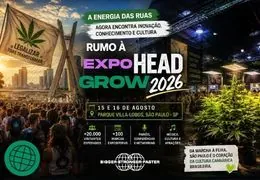 São Paulo entra no clima da cultura verde e a BSF Seeds estará no centro dessa experiência